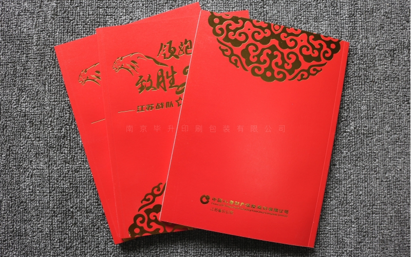 人寿艺术纸画册印刷